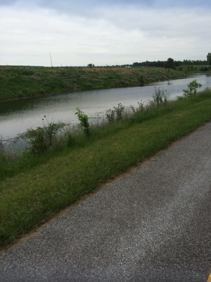 bog-alongside-bike-trail